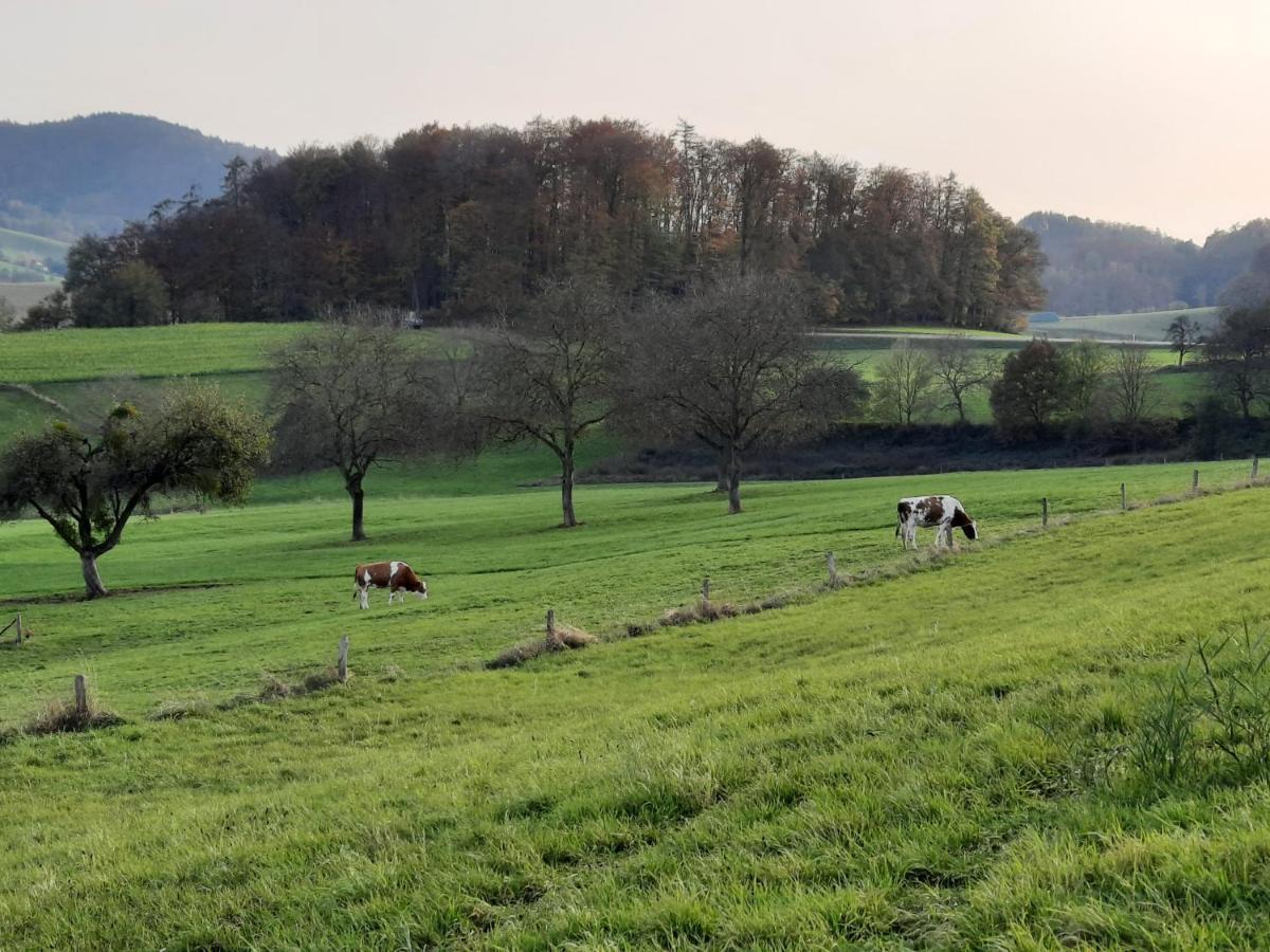 Ferienwohnung Odenwaldflair Reichelsheim Exteriér fotografie