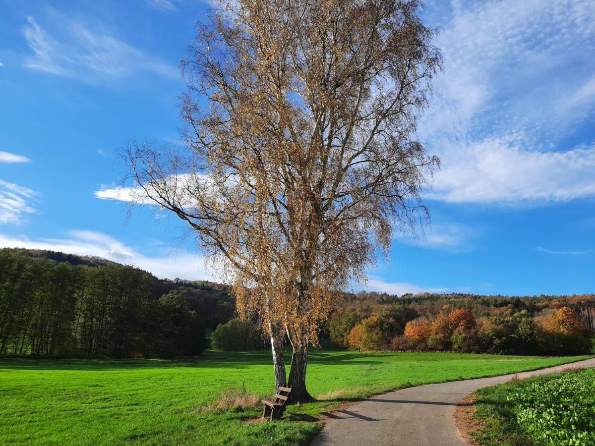 Ferienwohnung Odenwaldflair Reichelsheim Exteriér fotografie